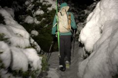 Beau hiking up the sub-tropical-snow-covered-rainforest.